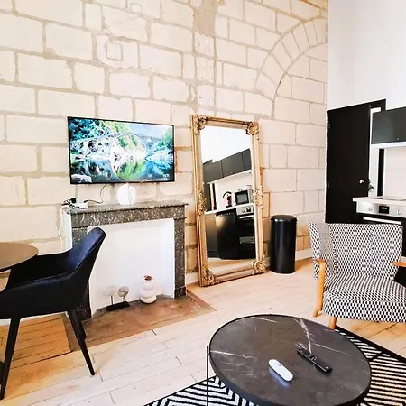 Studio Proche Basilique Saint Martin Apartamento