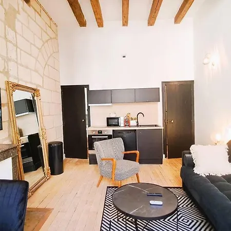 Studio Proche Basilique Saint Martin * Tours